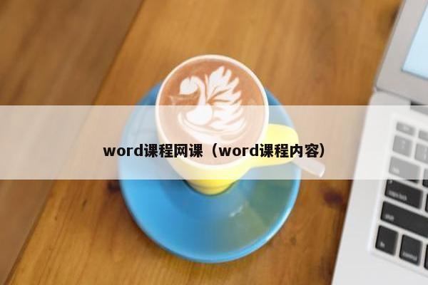 word课程网课（word课程内容）