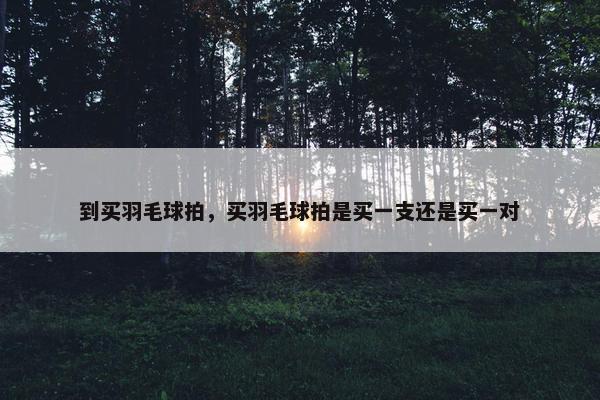 到买羽毛球拍，买羽毛球拍是买一支还是买一对