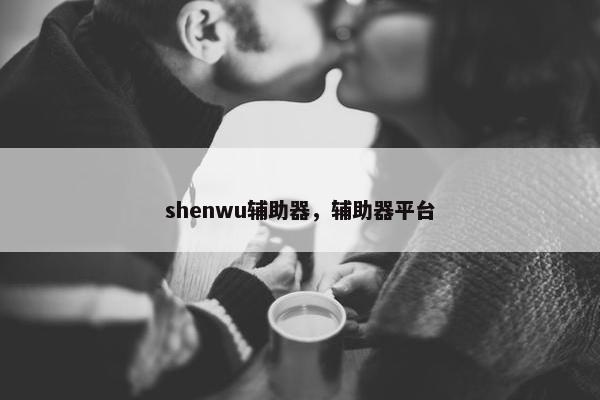 shenwu辅助器，辅助器平台