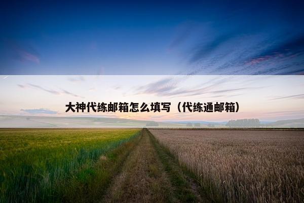 大神代练邮箱怎么填写（代练通邮箱）