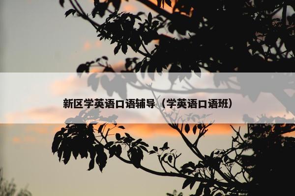 新区学英语口语辅导（学英语口语班）