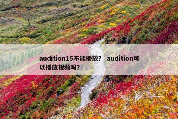 audition15不能播放？ audition可以播放视频吗？