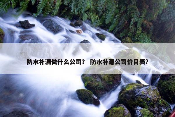 防水补漏做什么公司？ 防水补漏公司价目表？