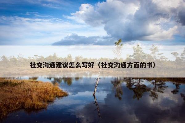 社交沟通建议怎么写好（社交沟通方面的书）