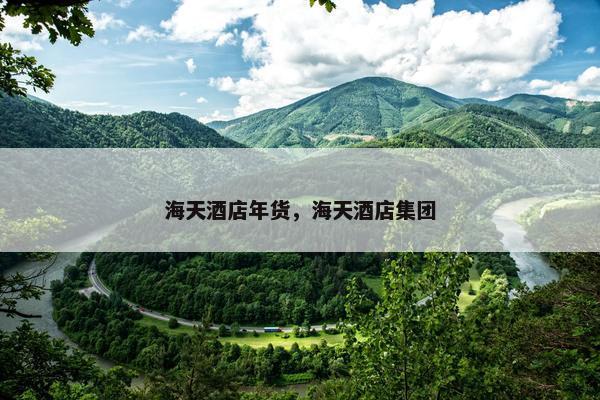 海天酒店年货，海天酒店集团