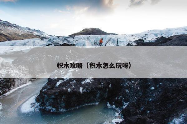 积木攻略（积木怎么玩呀）