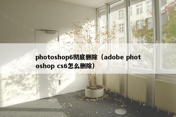 photoshop6彻底删除（adobe photoshop cs6怎么删除）