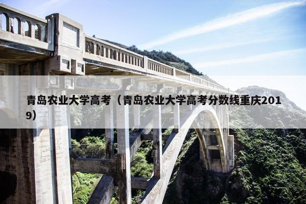 青岛农业大学高考（青岛农业大学高考分数线重庆2019）