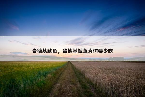 肯德基鱿鱼，肯德基鱿鱼为何要少吃