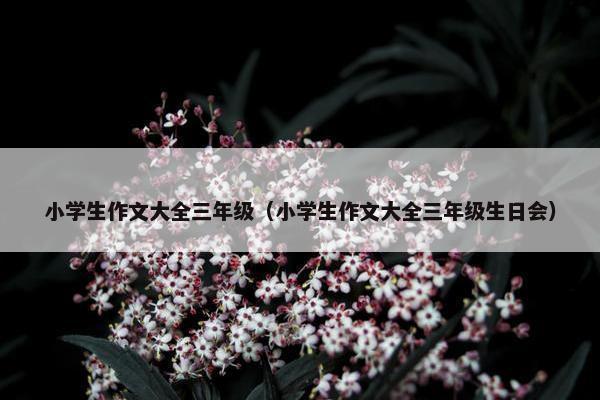 小学生作文大全三年级(小学生作文大全三年级生日会) 小学生作文大全三年级(小学生作文大全三年级生日会)