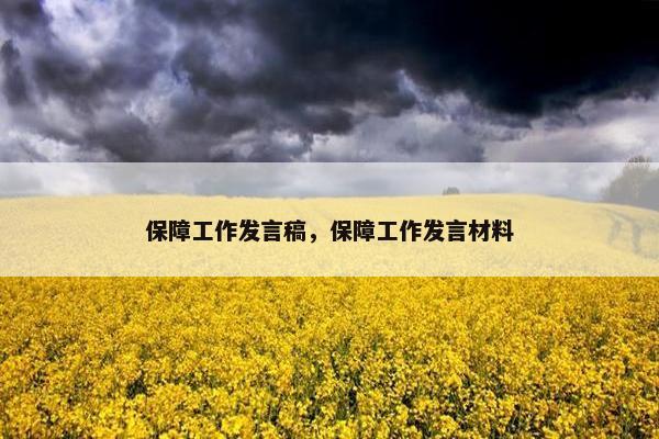 保障工作发言稿，保障工作发言材料