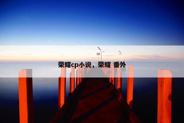 荣耀cp小说，荣耀 番外